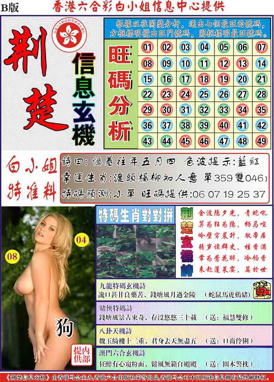 六合彩101期荆楚信息玄机B