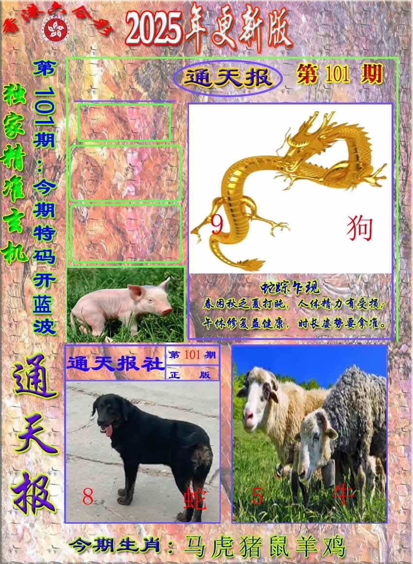 六合彩101期新通报