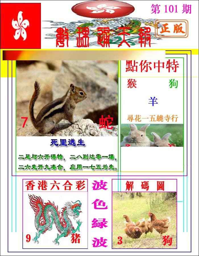 六合彩101期数理通天