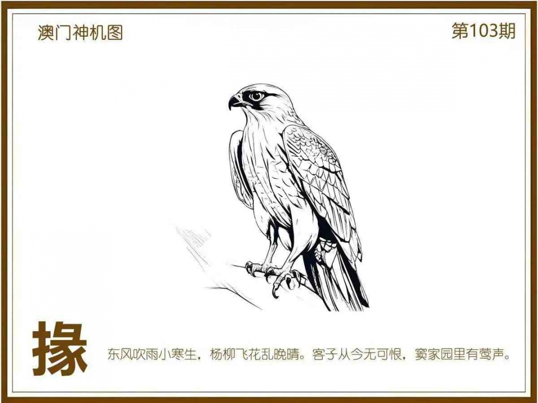 六合彩103期澳门神机图