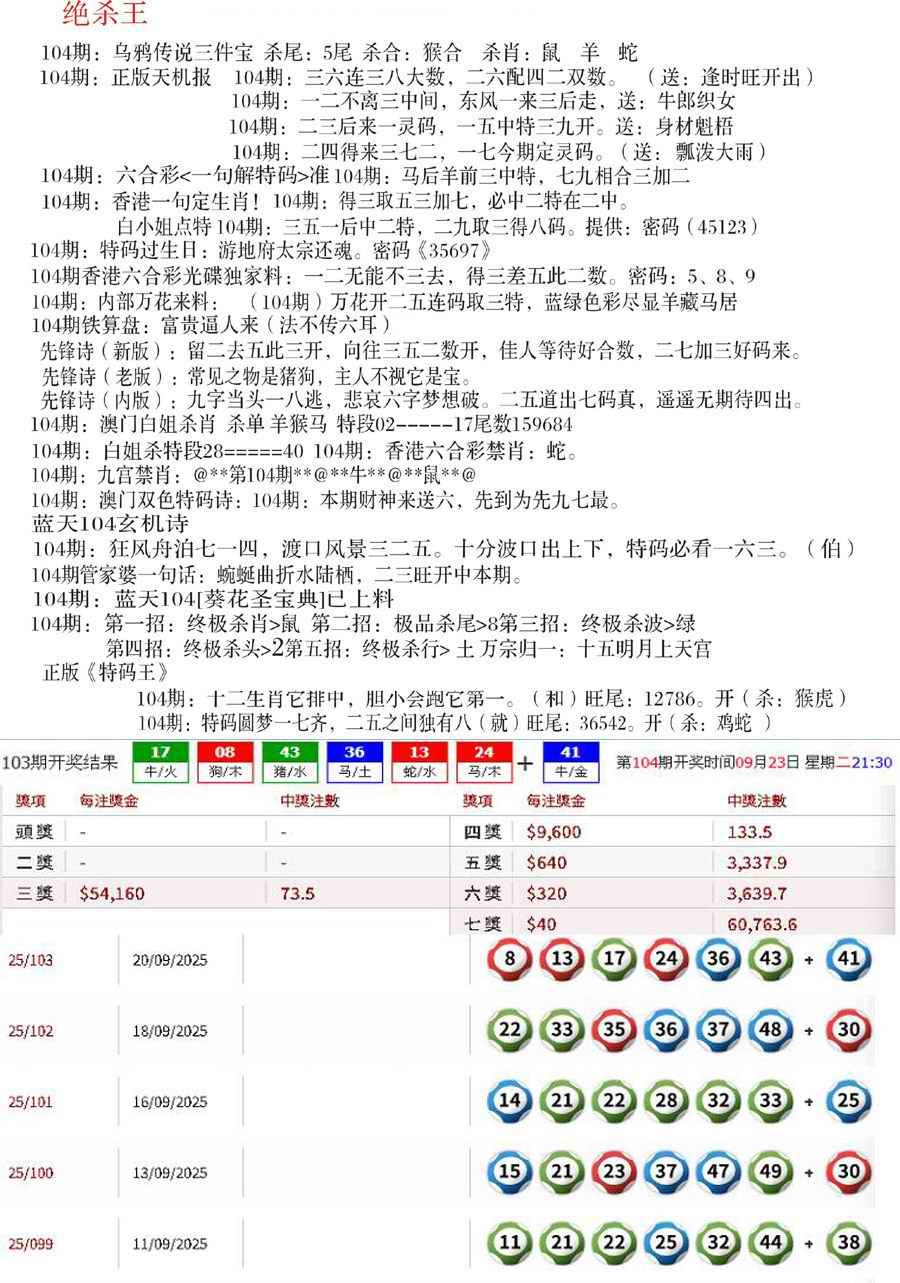 六合彩104期蓝天报B