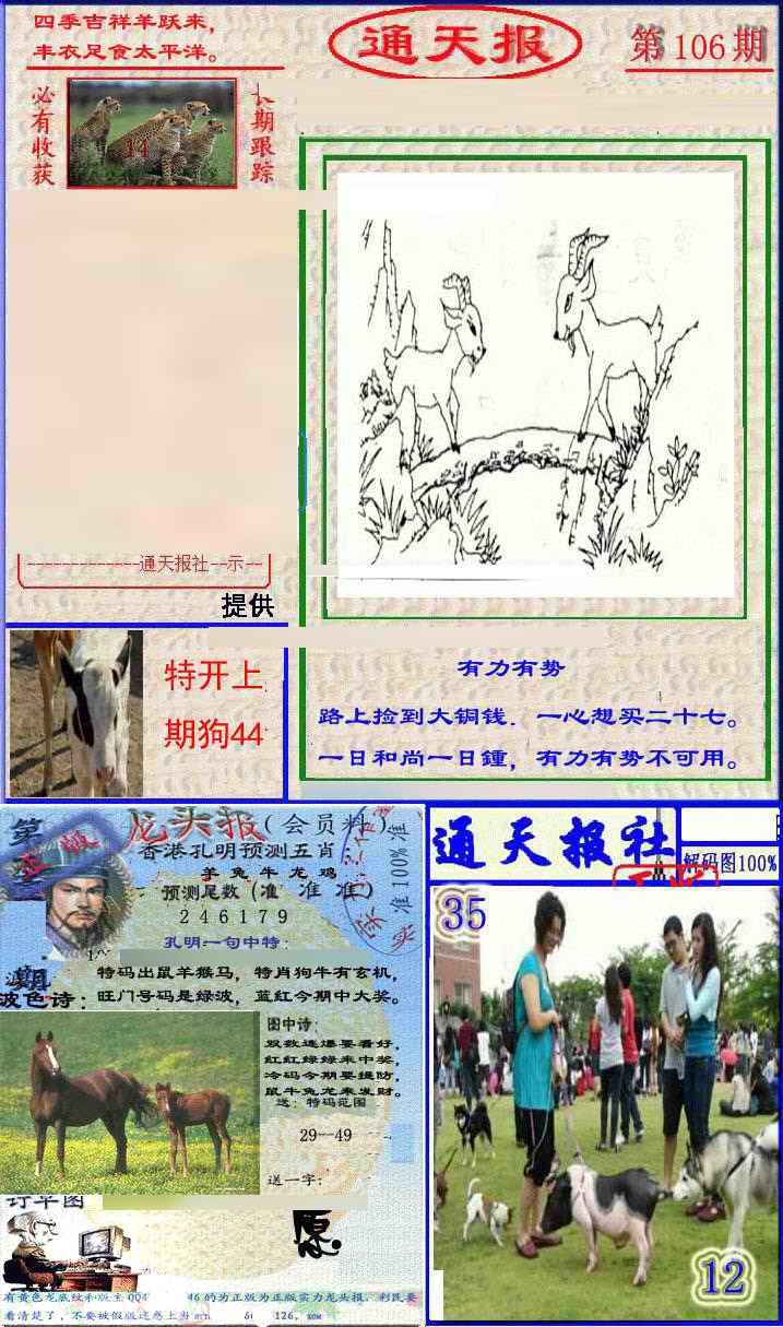 六合彩106期实力通天报