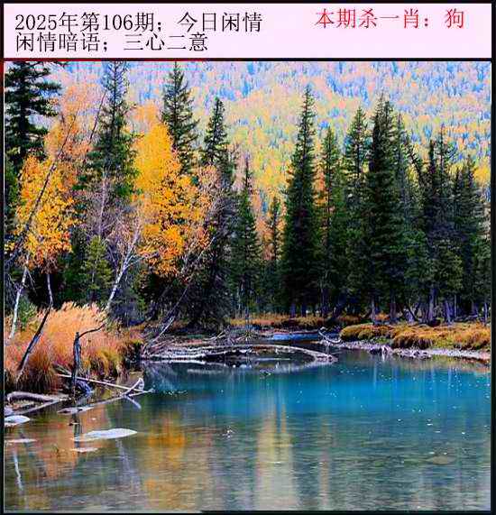 六合彩106期今日闲情