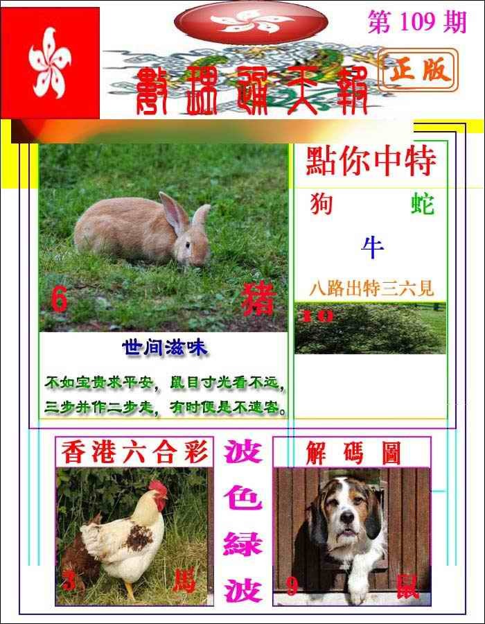六合彩109期数理通天