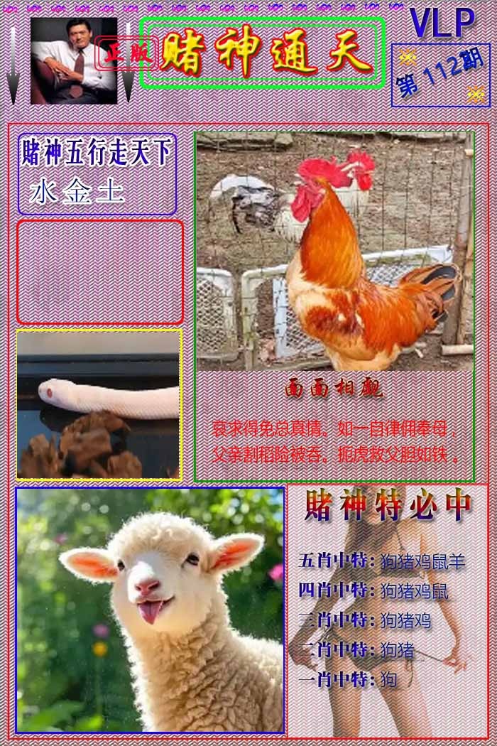 六合彩112期赌神通天报