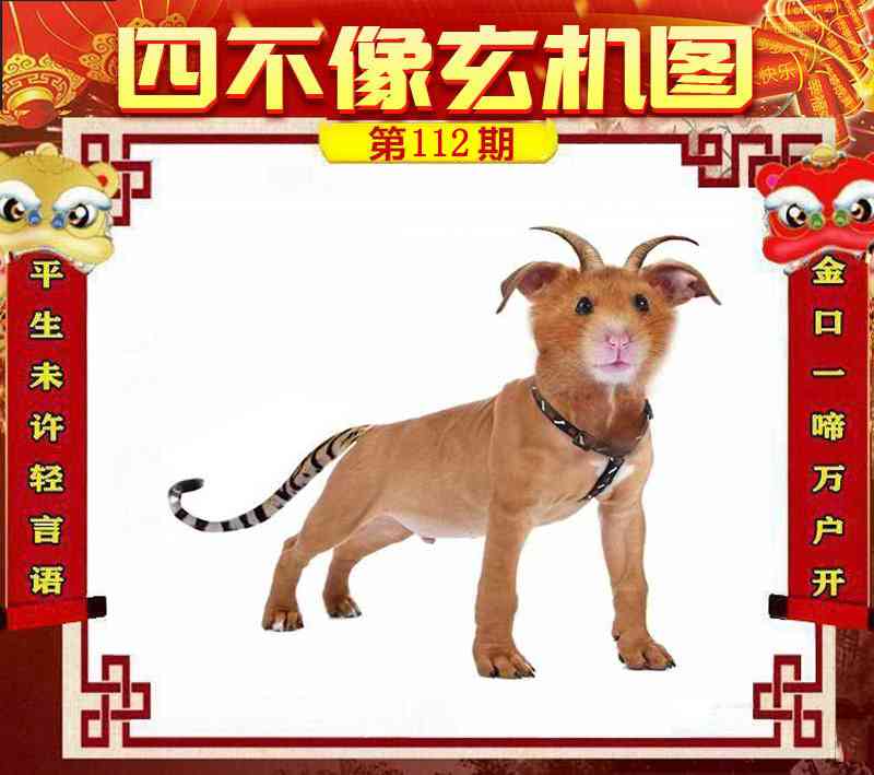 六合彩112期四不像玄机图
