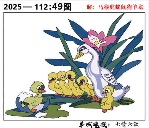 六合彩112期49图