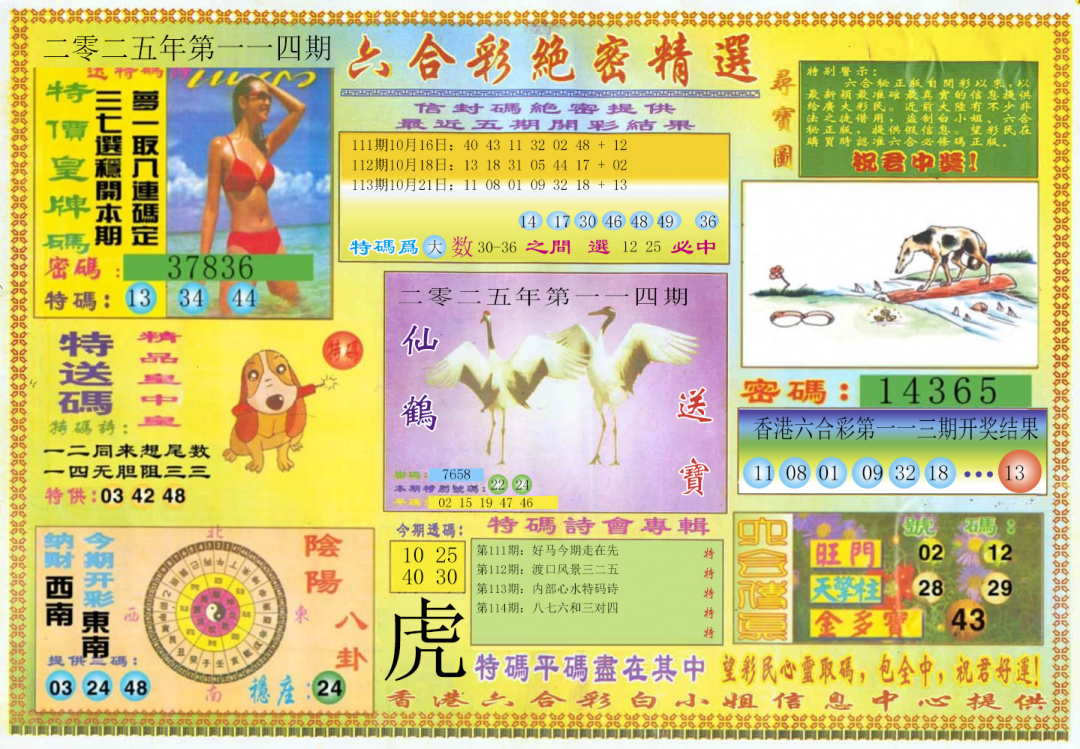六合彩114期绝密精选A