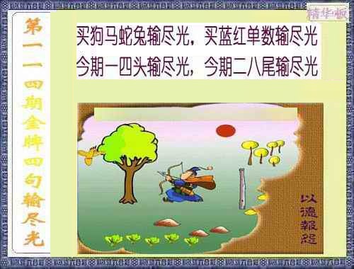 六合彩114期金牌四句输尽光