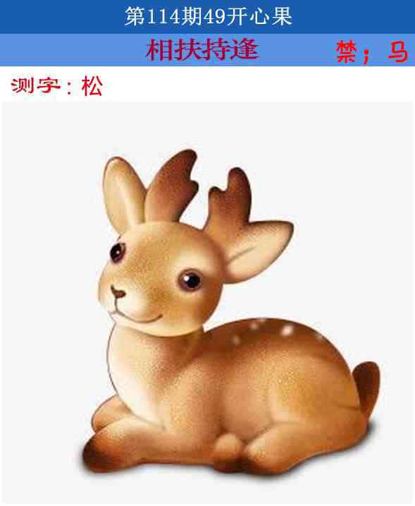 六合彩114期四九开心果