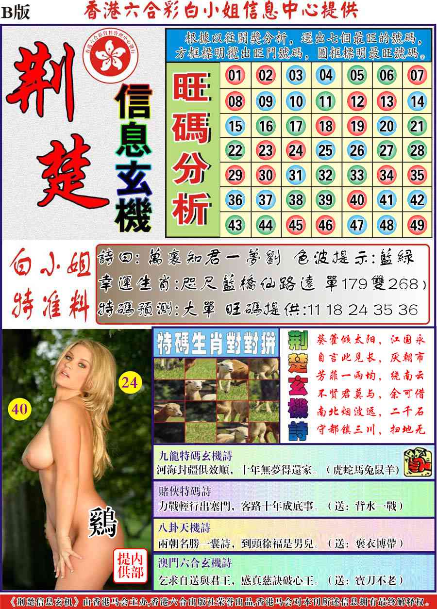 六合彩114期荆楚信息玄机B