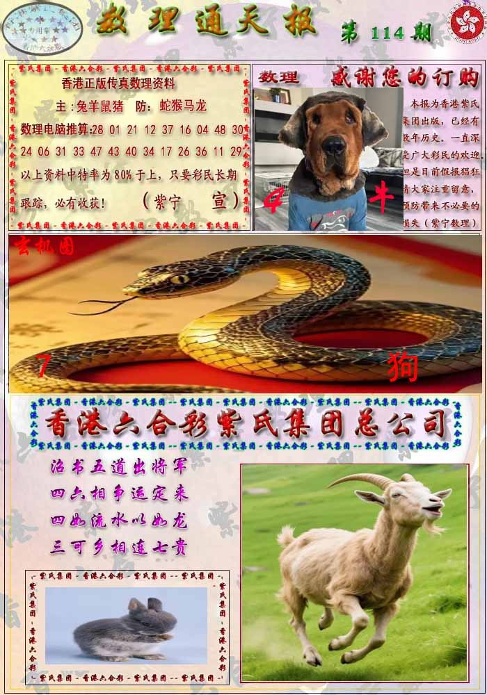 六合彩114期数通报