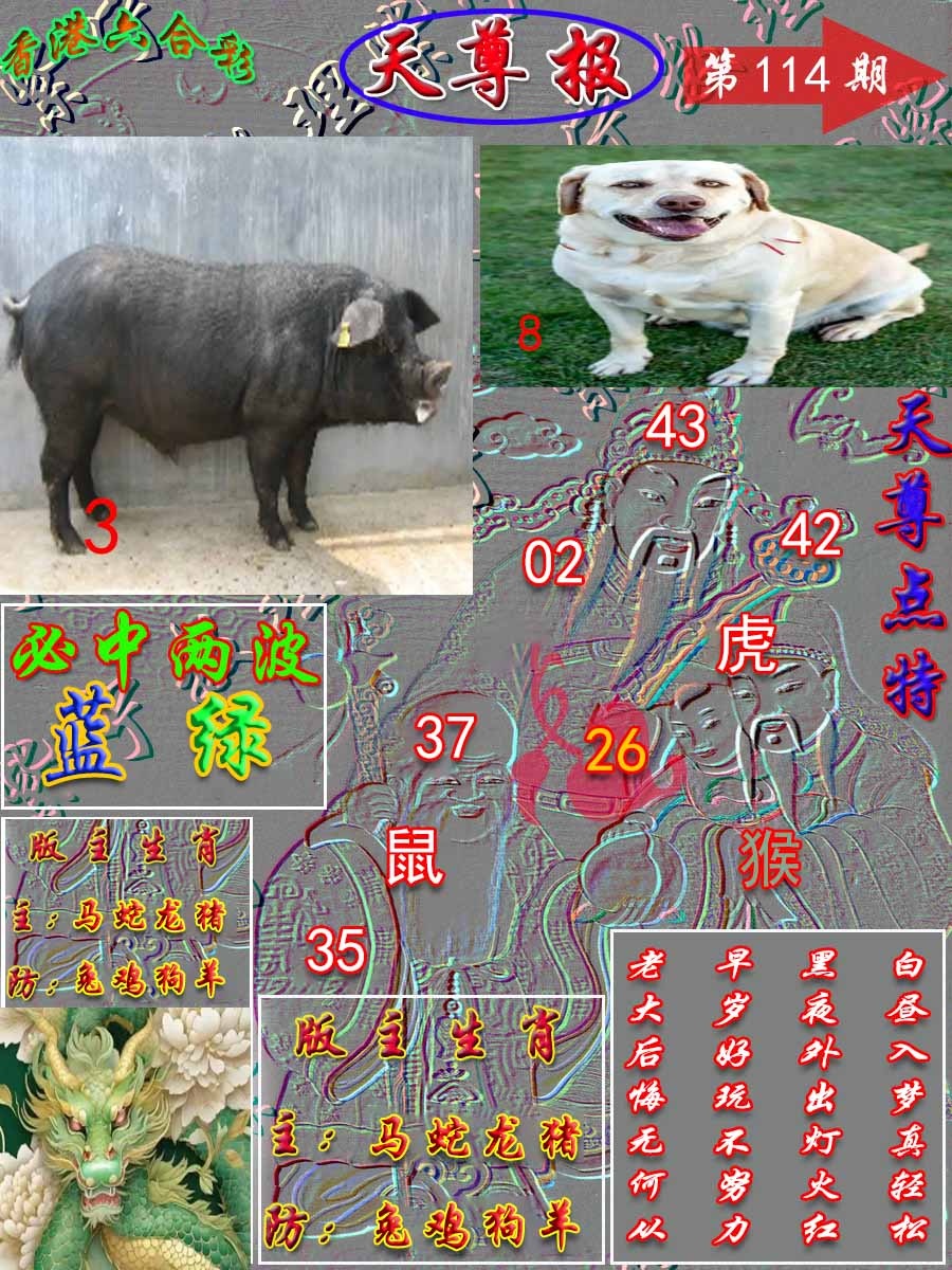 六合彩114期天尊报