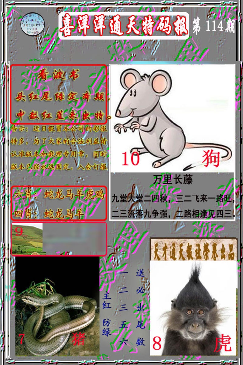 六合彩114期洋通报