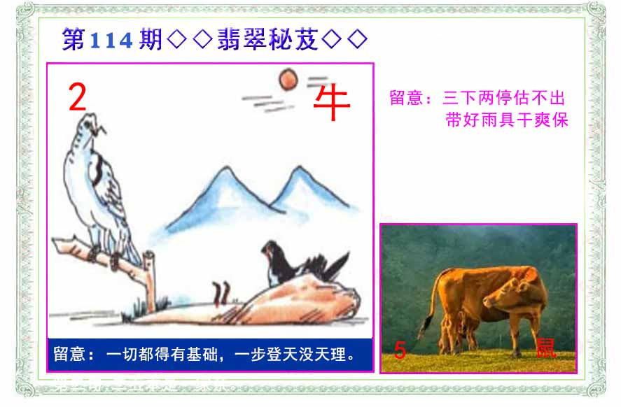 六合彩114期翡翠报