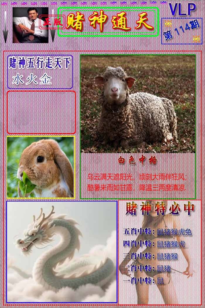 六合彩114期赌神通天报