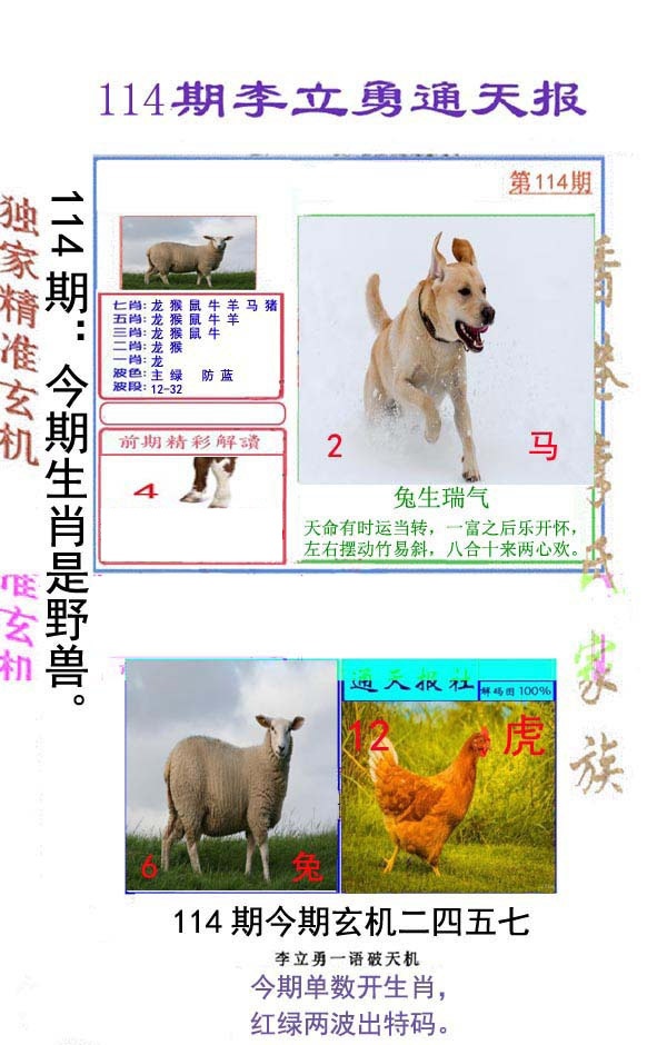 六合彩114期李立勇通天报
