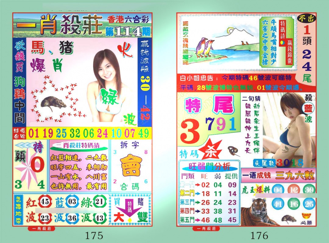 六合彩114期一肖杀庄