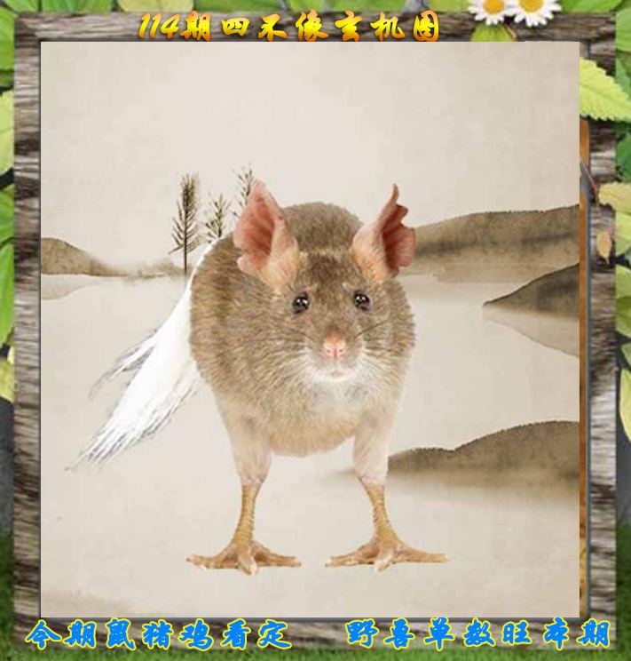 六合彩114期四不像特别版