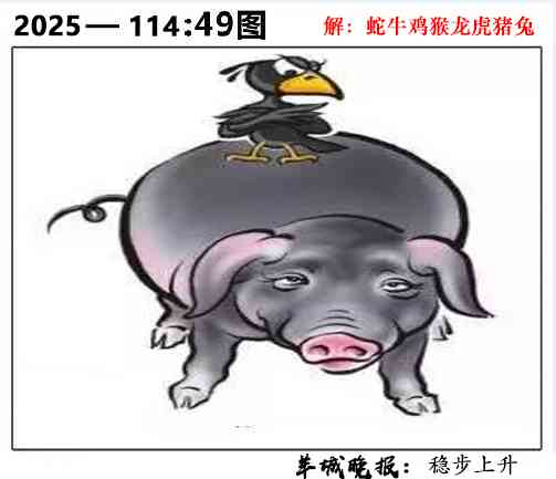 六合彩114期49图