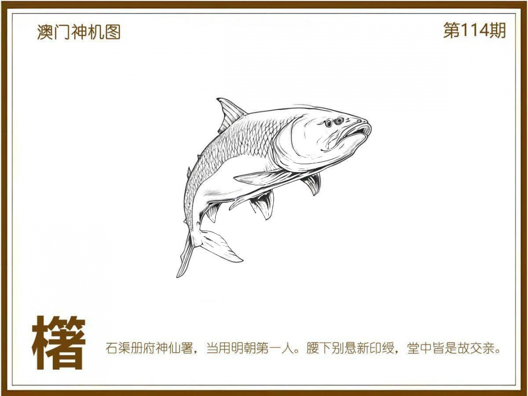 六合彩114期澳门神机图