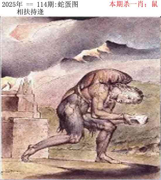 六合彩114期正版蛇蛋图