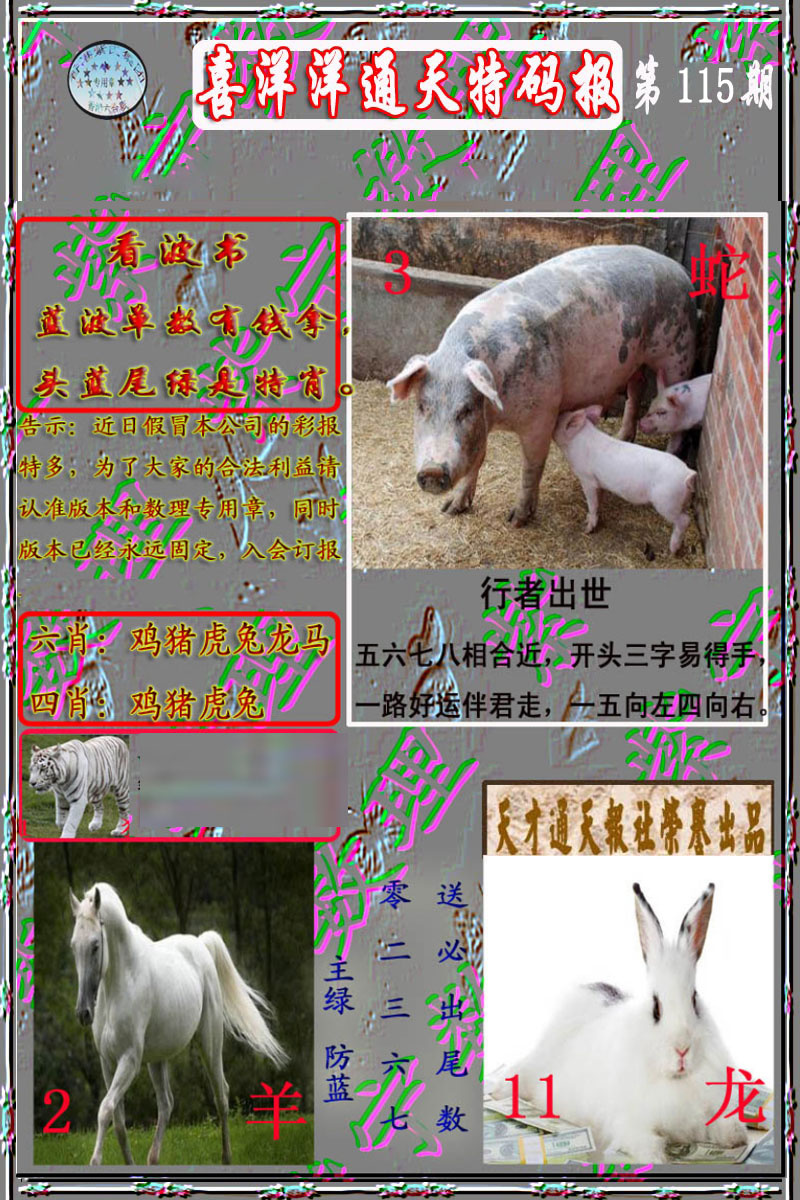 六合彩115期洋通报