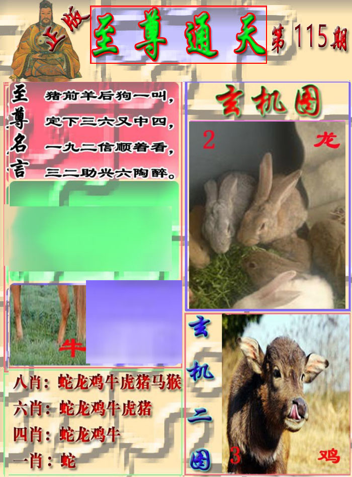 六合彩115期至通报