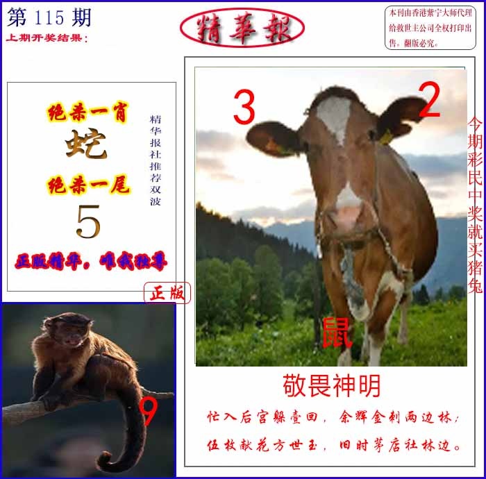 六合彩115期新精华报报