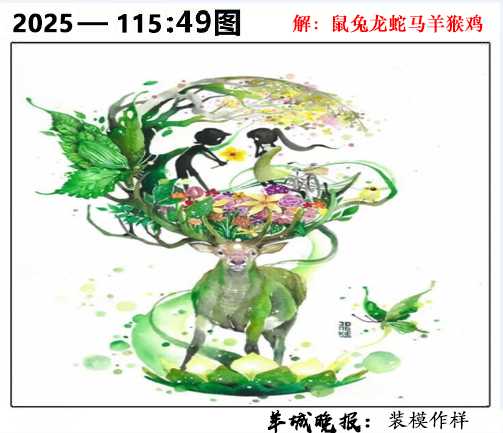 六合彩115期49图