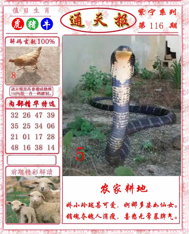 六合彩116期救通报