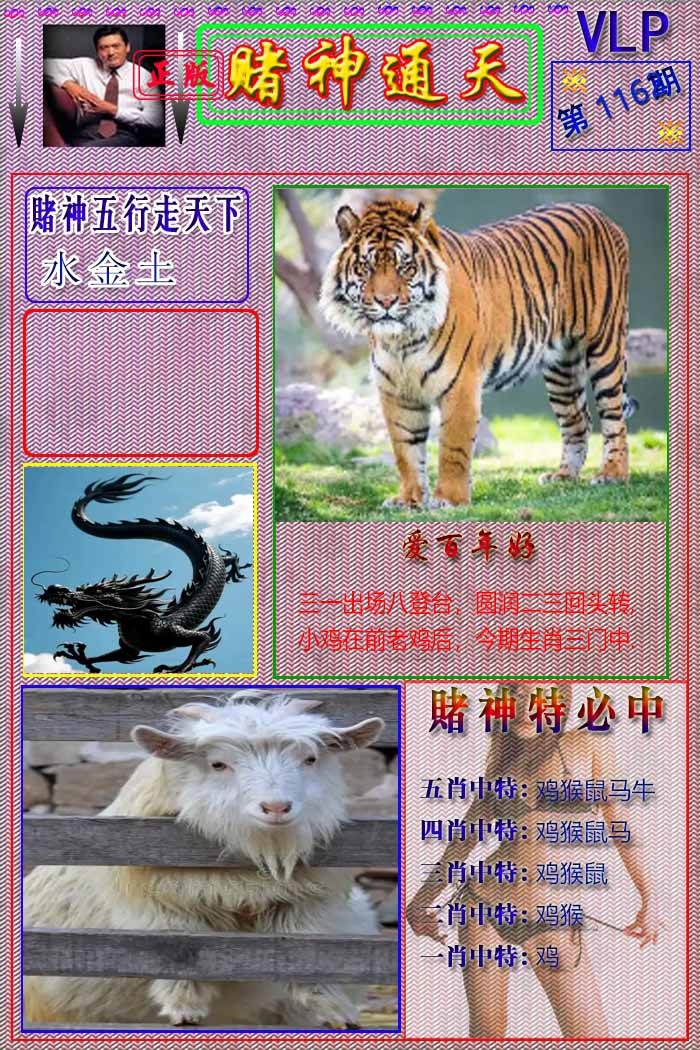 六合彩116期赌神通天报