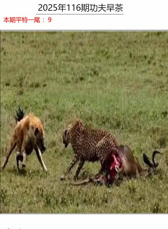 六合彩116期功夫早茶