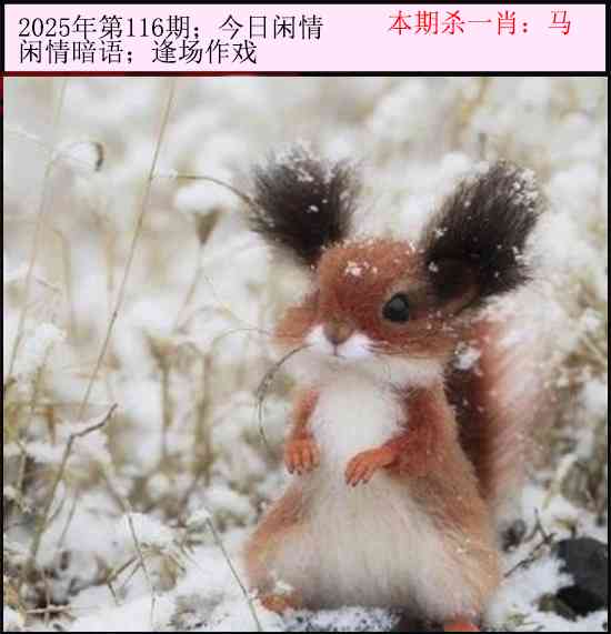 六合彩116期今日闲情