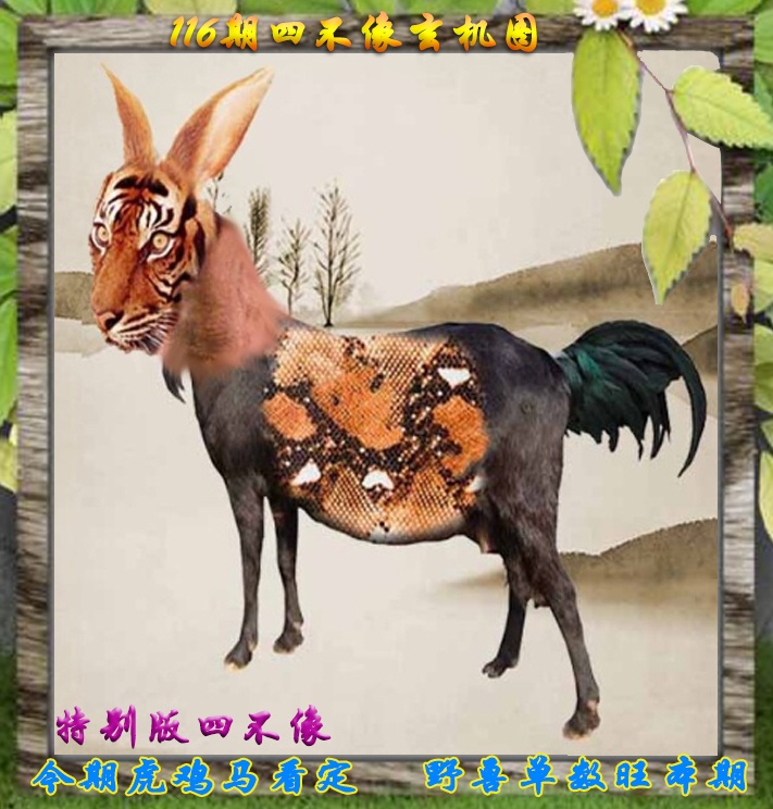 六合彩116期四不像特别版
