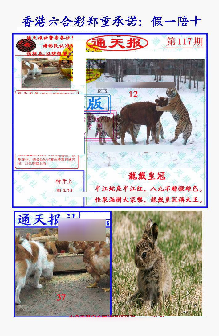 六合彩117期假一陪十通天报