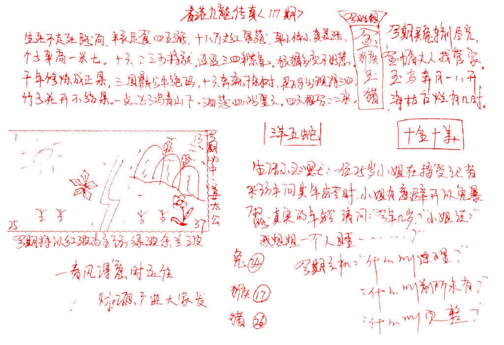 六合彩117期九龙传真(手写)