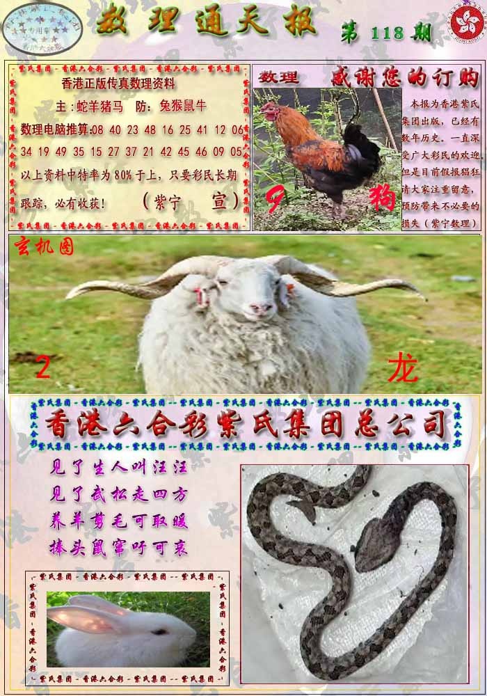 六合彩118期数通报