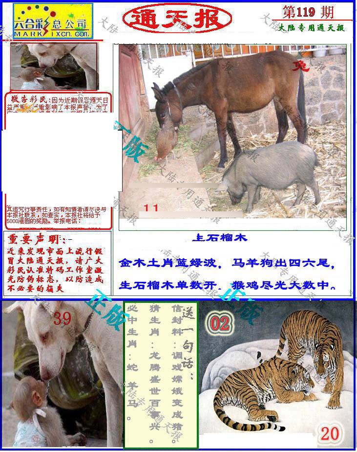 六合彩119期大陆通天报