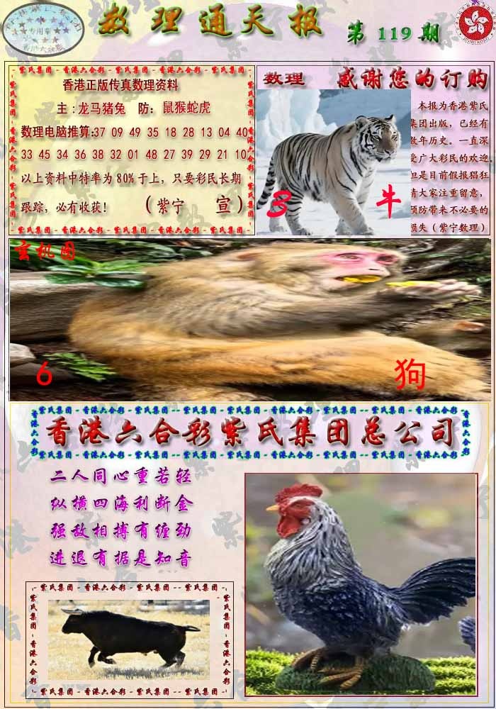 六合彩119期数通报