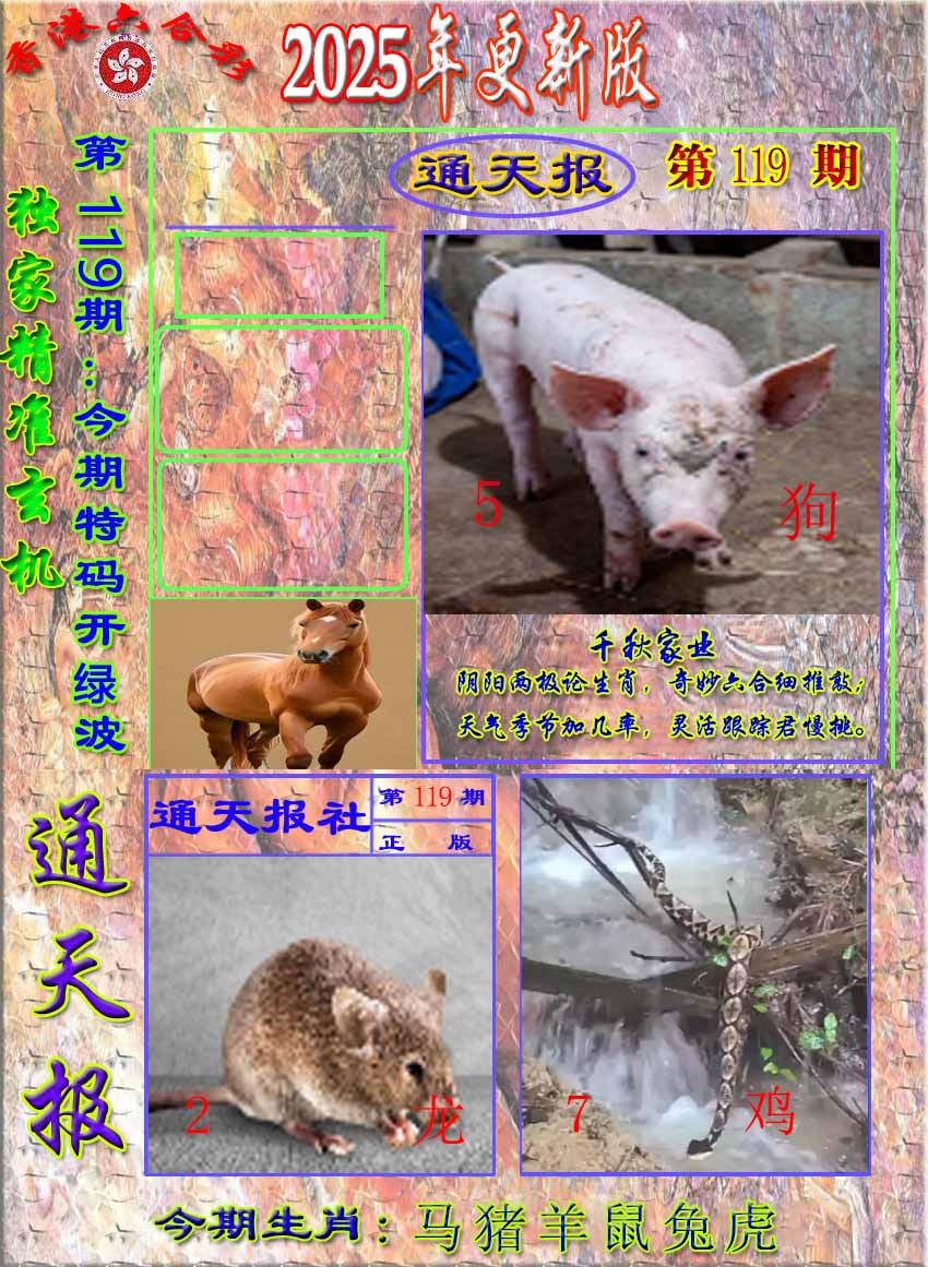 六合彩119期新通报