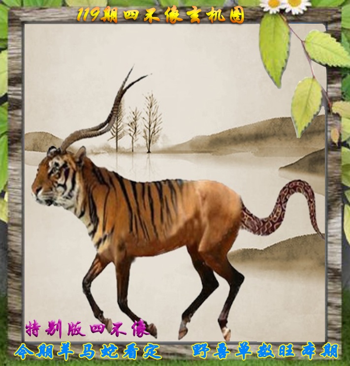 六合彩119期四不像特别版