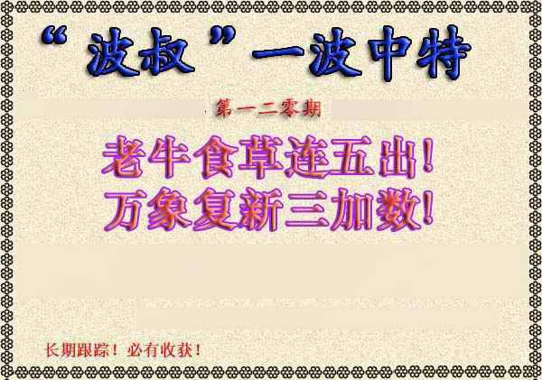 六合彩120期波叔一波中特