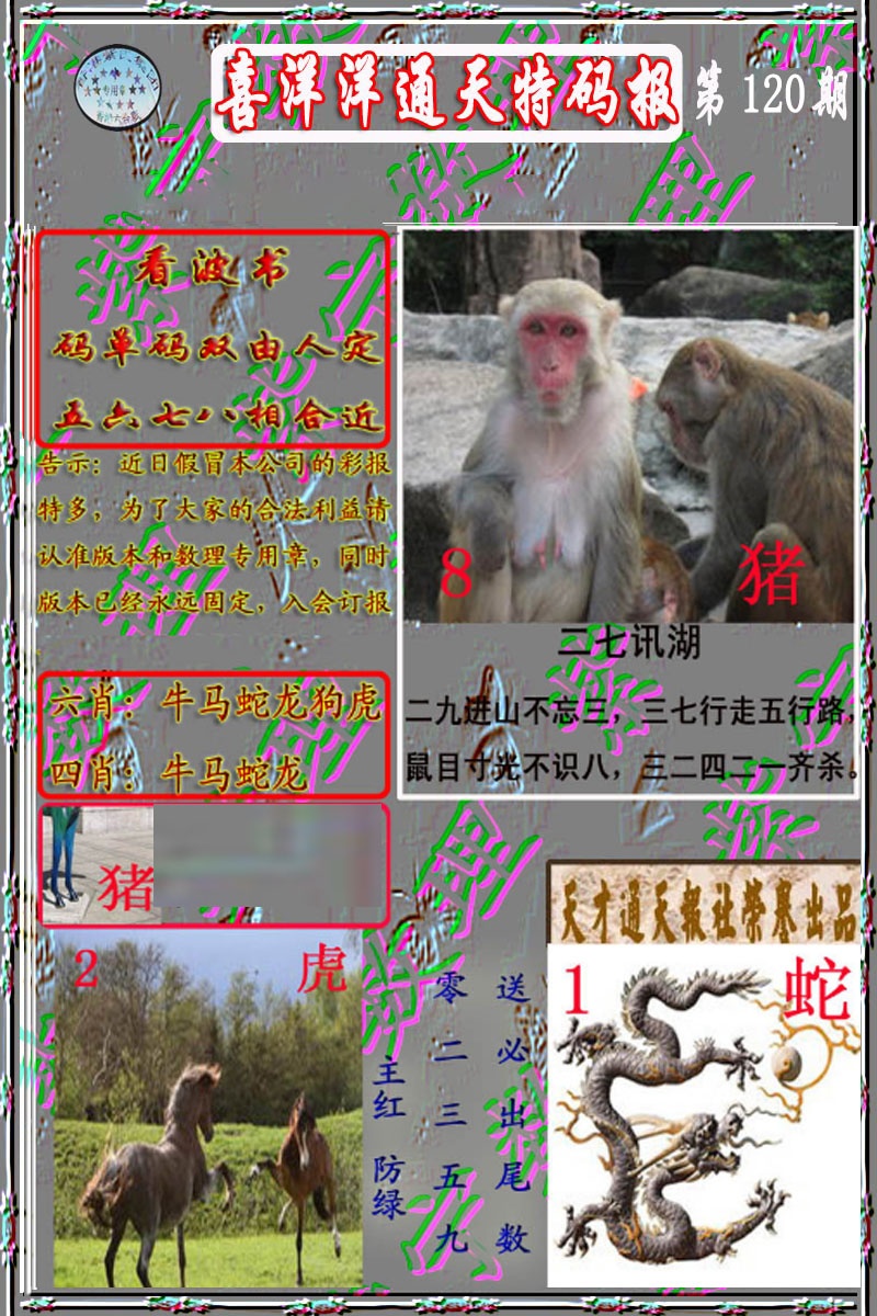 六合彩120期洋通报