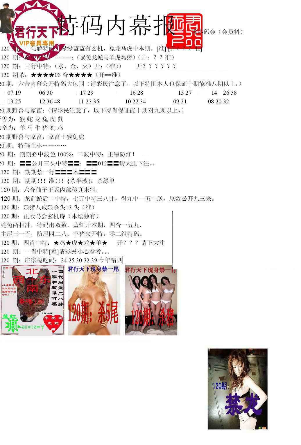 六合彩120期特码内幕报