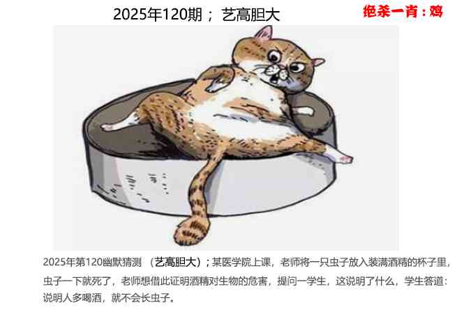 六合彩120期幽默猜测