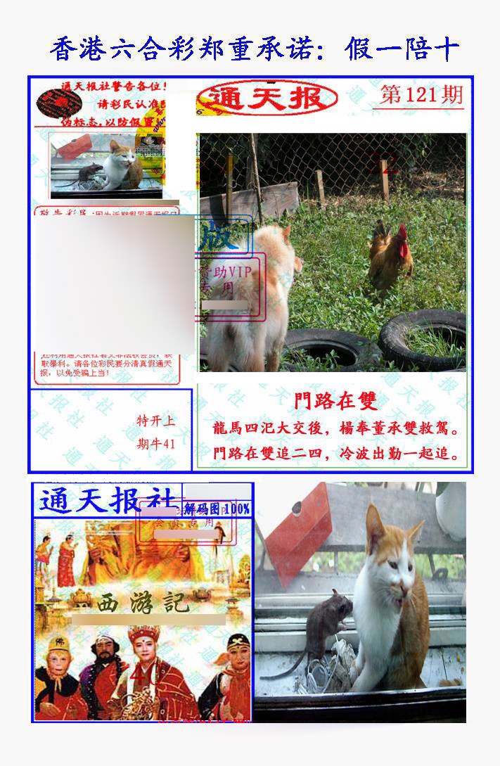 六合彩121期假一陪十通天报