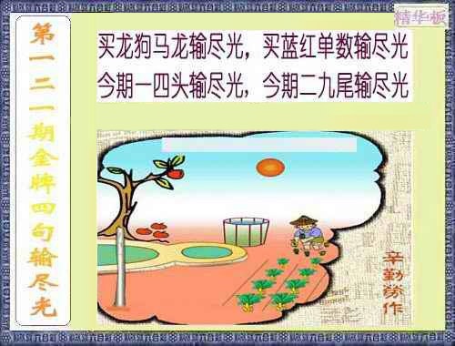 六合彩121期金牌四句输尽光