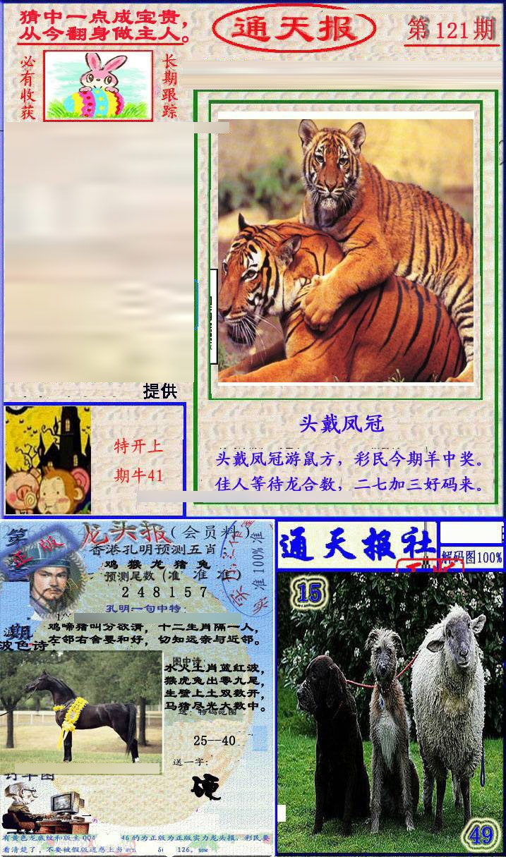 六合彩121期实力通天报