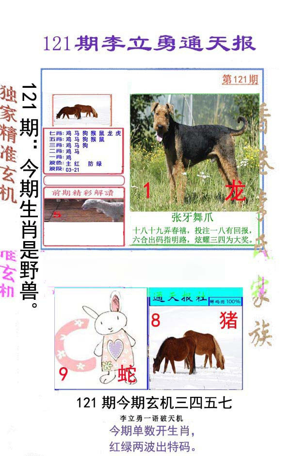 六合彩121期李立勇通天报